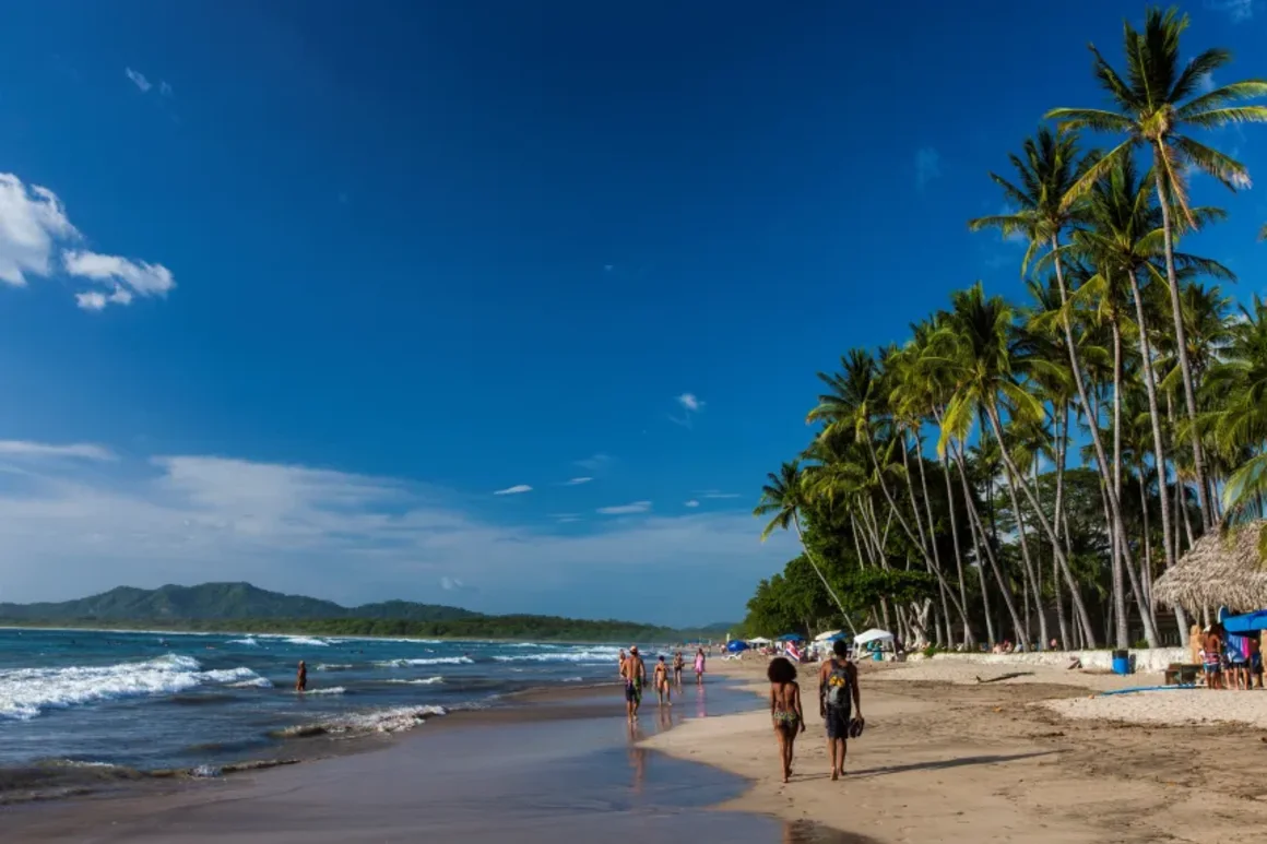 Palm-lined tropical beach in Costa Rica with clear blue sky