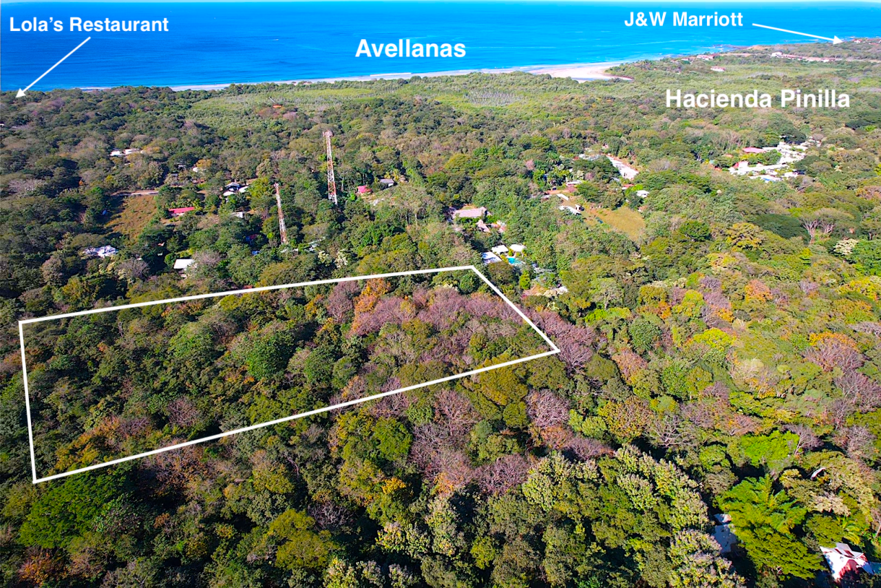 Aerial view of a mixed-use development parcel in Avellanas, boundary lines overlaid