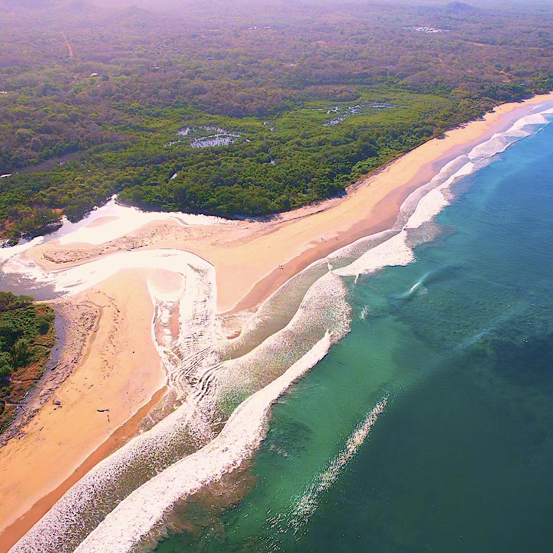 Avellanas
