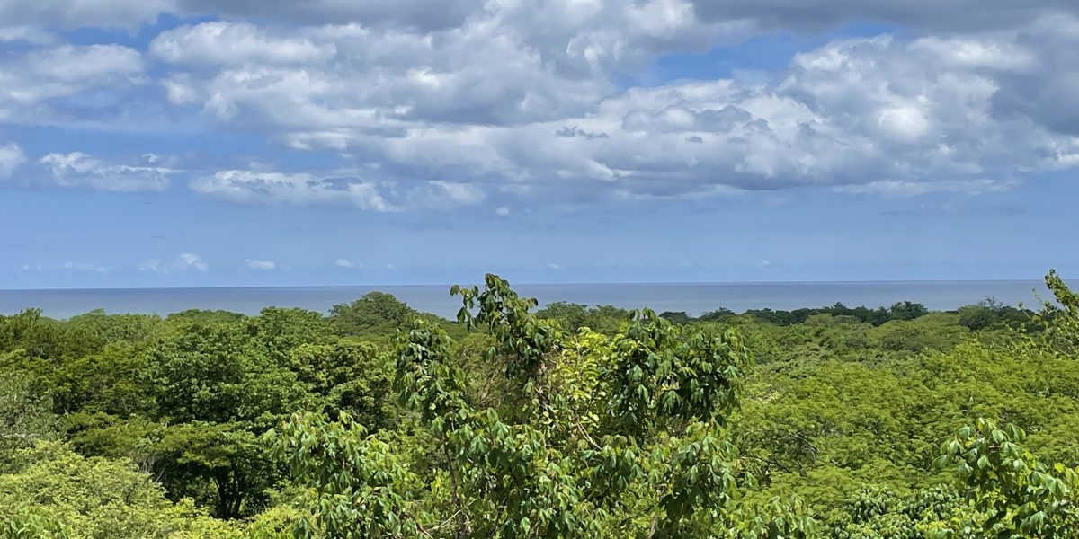 Avellana’s Gem | Ocean View Mixed-Use Development Parcel