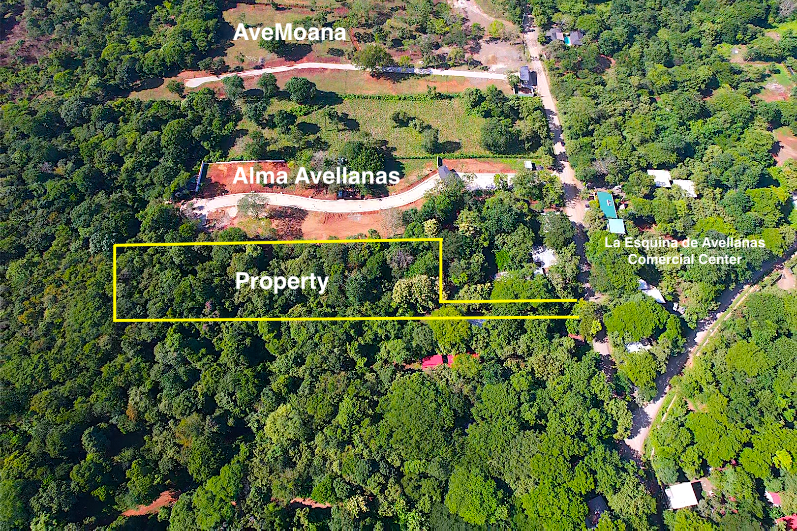 AAA Coastal Opportunity in Playa Avellanas – 7288 m2 Lot