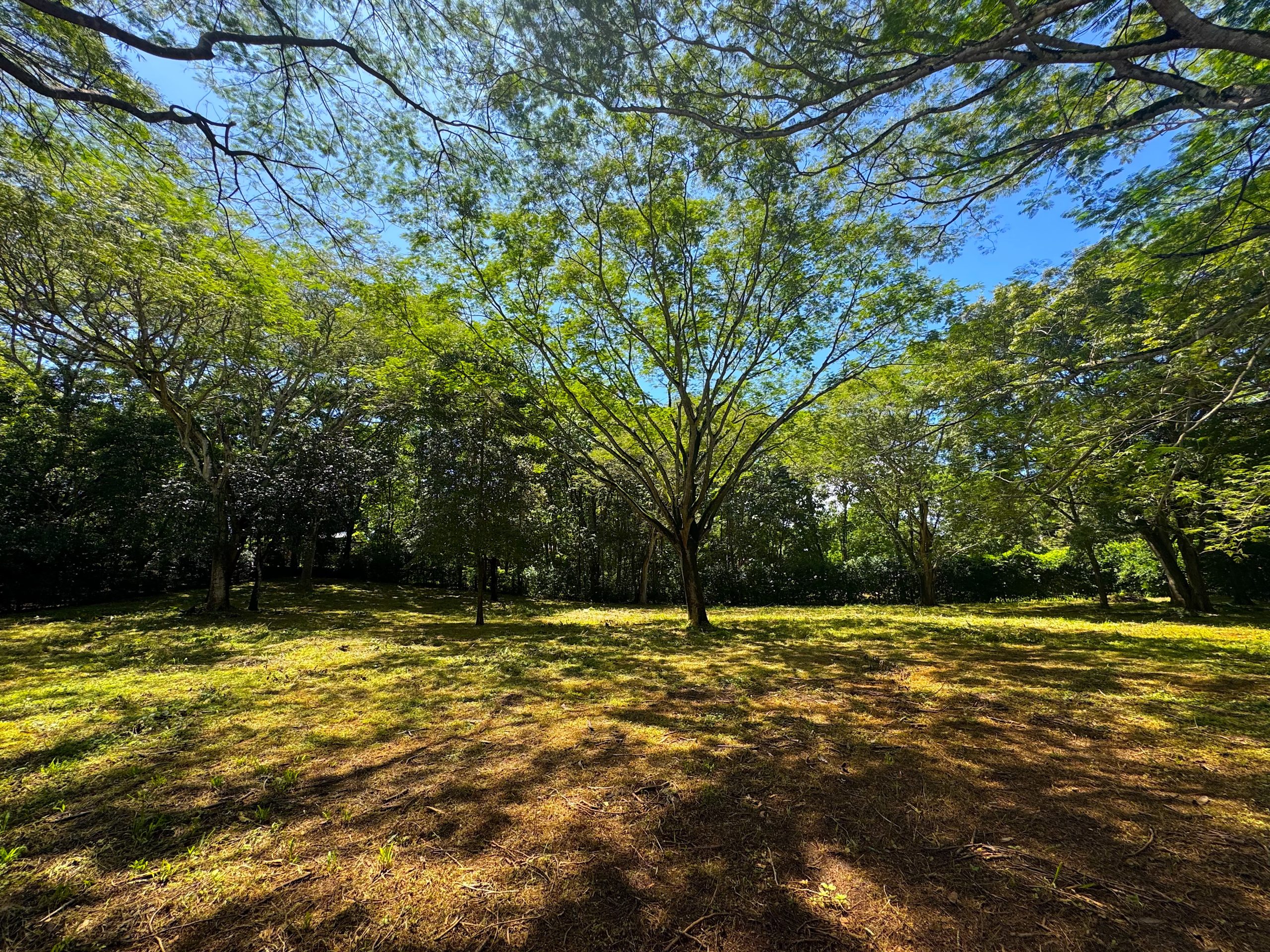 Stunning Multi Unit Lot Ready to Build 5 Homes | Avellanas