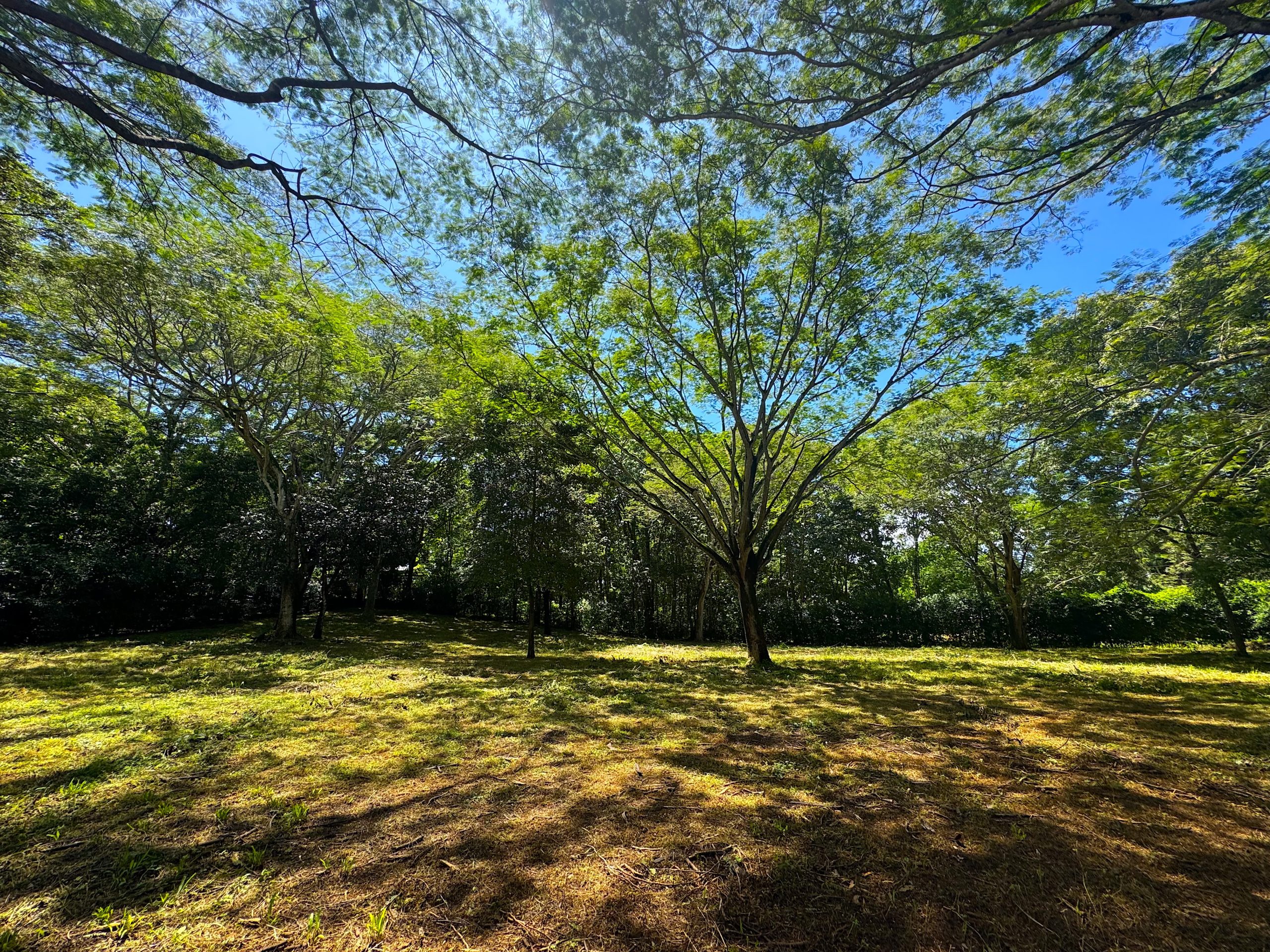Stunning Multi Unit Lot Ready to Build 5 Homes | Avellanas