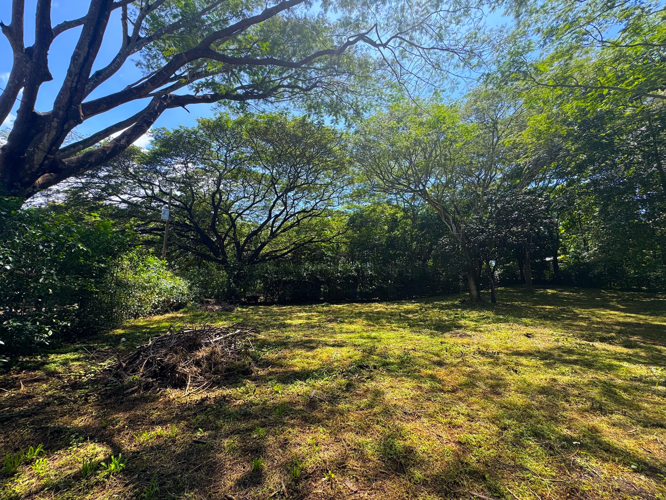 Stunning Multi Unit Lot Ready to Build 5 Homes | Avellanas