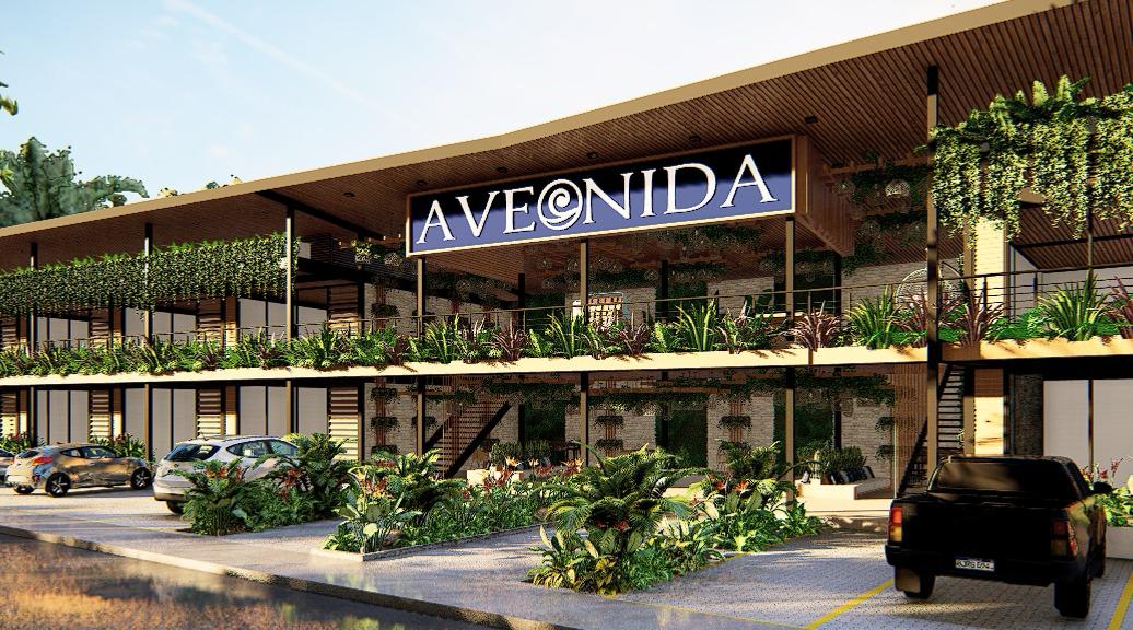Avemoana Commercial Lot | AAA Commercial Location in Avellanas