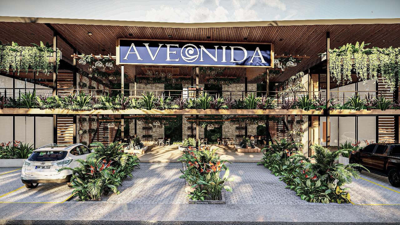 Avemoana Commercial Lot | AAA Commercial Location in Avellanas