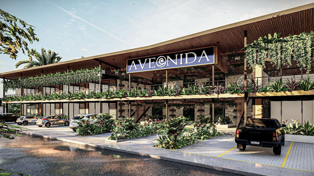 Avemoana Commercial Lot | AAA Commercial Location in Avellanas