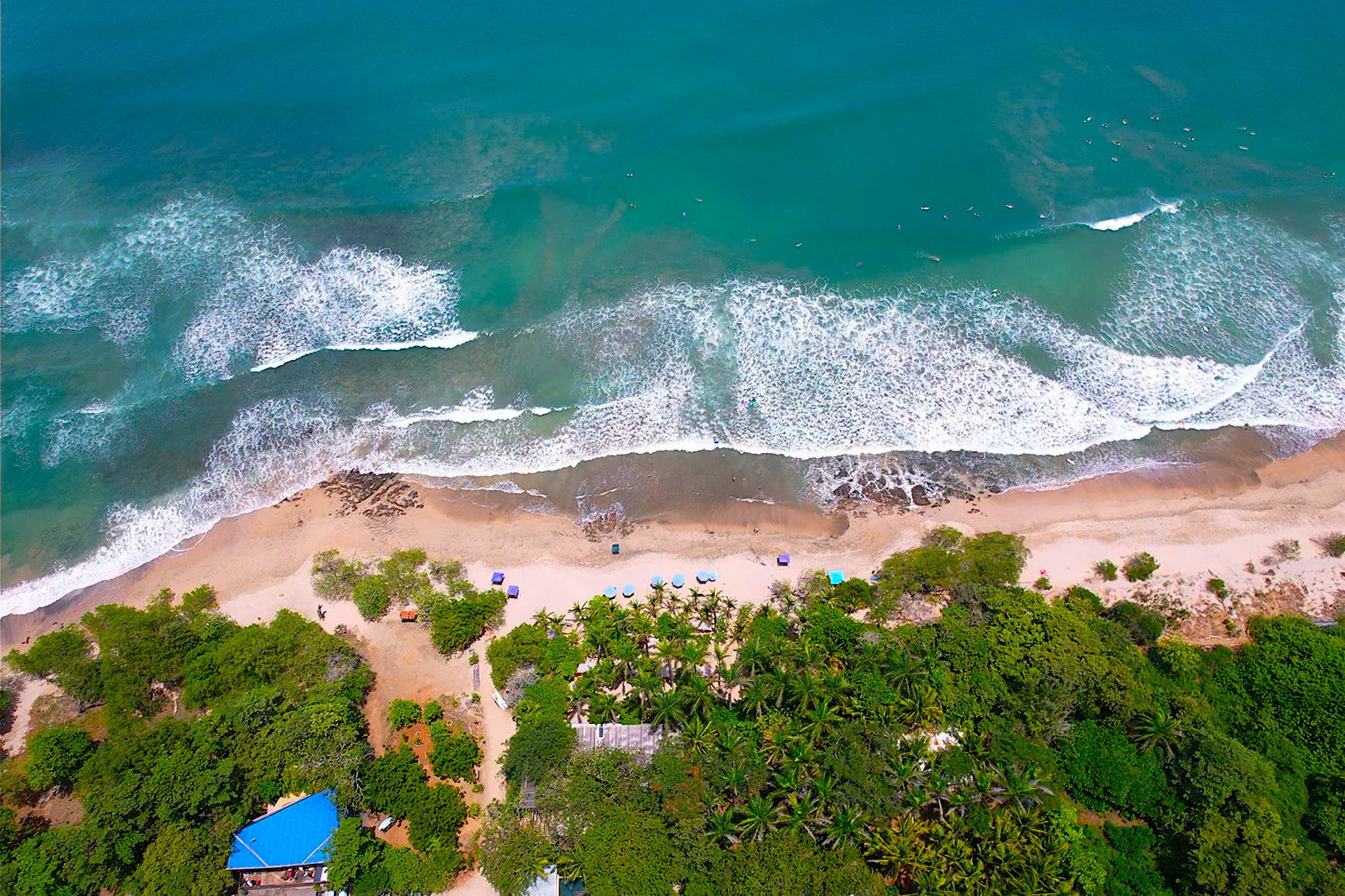Boutique Hotel Patanemo | Prime Luxury Hospitality Investment Opportunity in Playa Avellanas