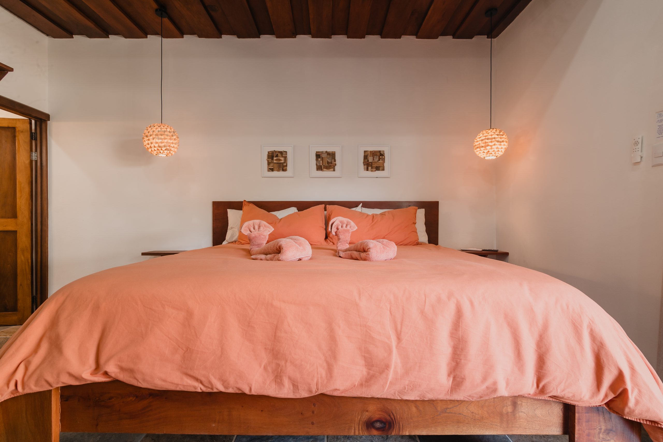 Boutique Hotel Patanemo | Prime Luxury Hospitality Investment Opportunity in Playa Avellanas