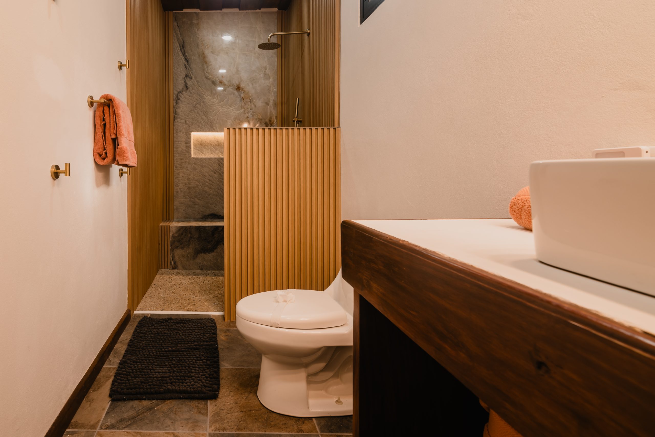 Boutique Hotel Patanemo | Prime Luxury Hospitality Investment Opportunity in Playa Avellanas