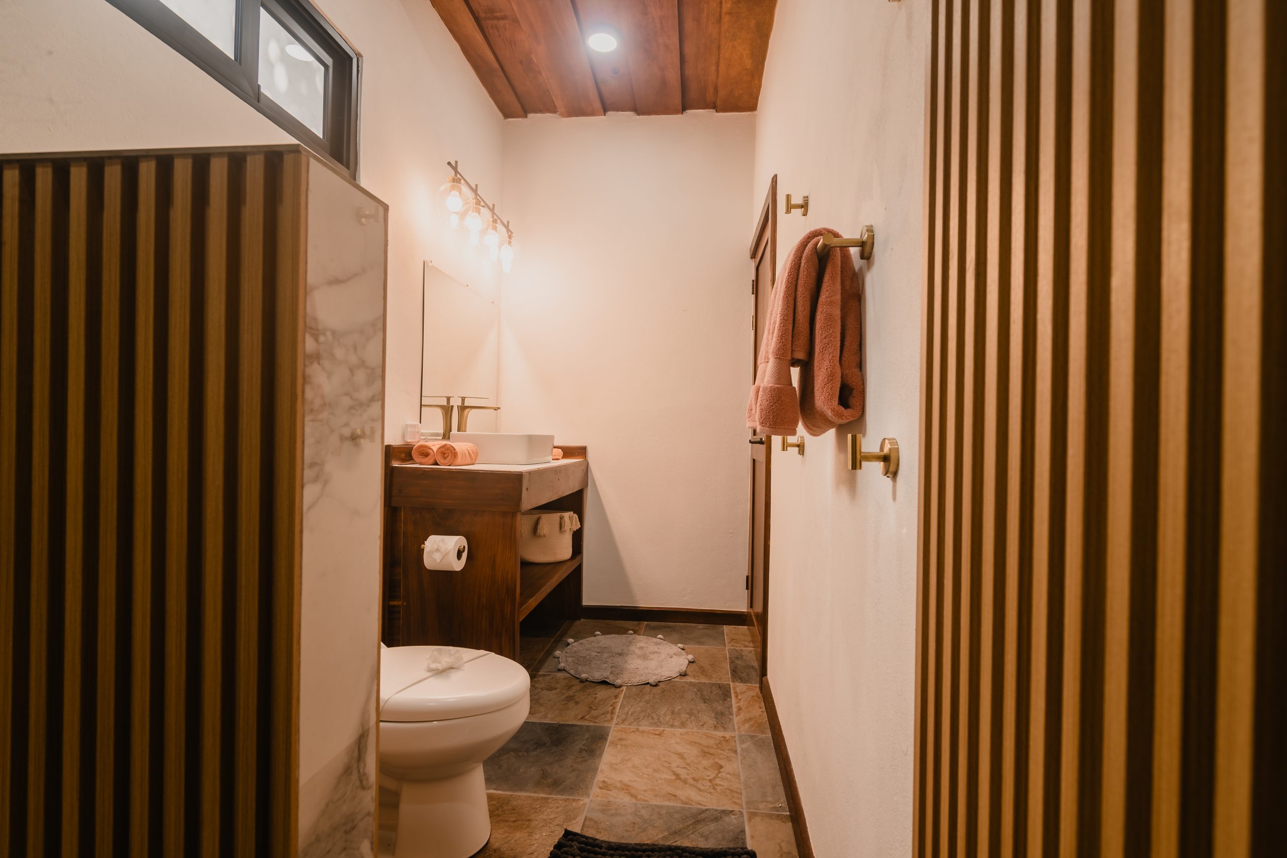 Boutique Hotel Patanemo | Prime Luxury Hospitality Investment Opportunity in Playa Avellanas