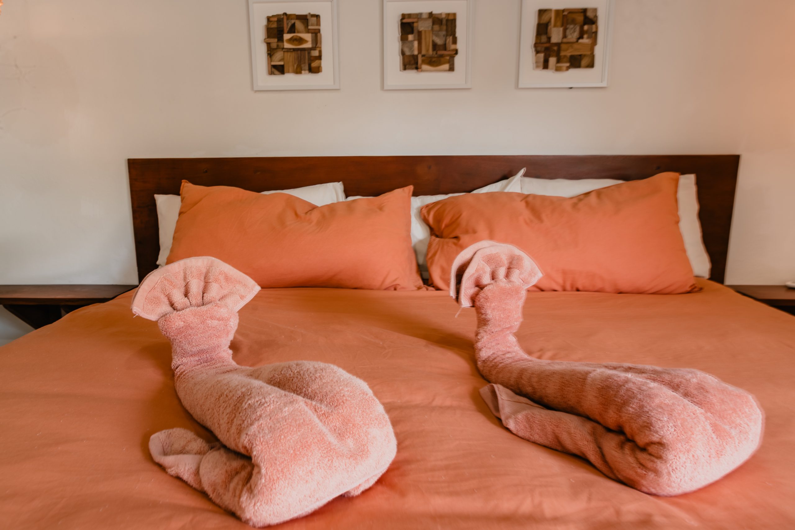 Boutique Hotel Patanemo | Prime Luxury Hospitality Investment Opportunity in Playa Avellanas
