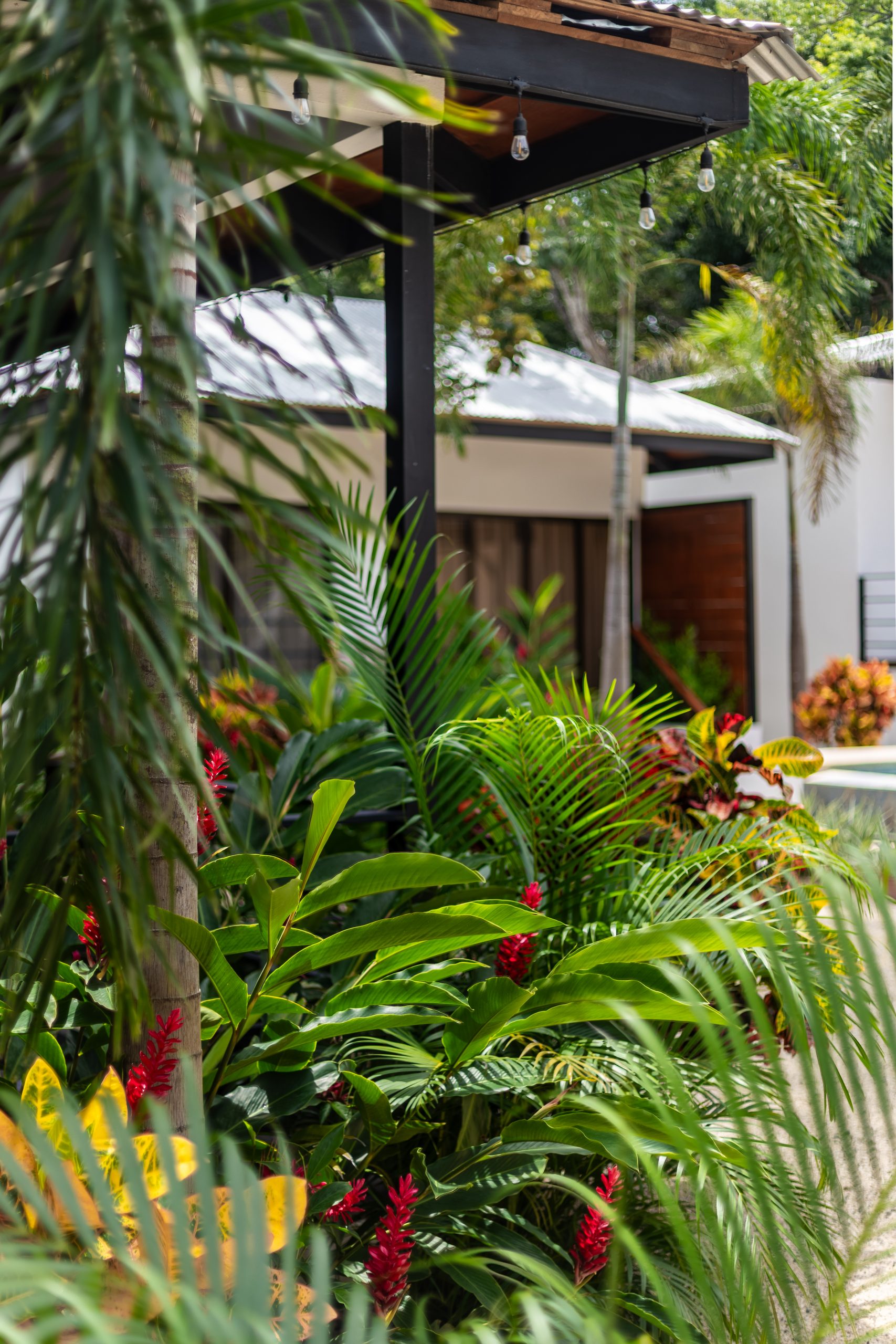 Boutique Hotel Patanemo | Prime Luxury Hospitality Investment Opportunity in Playa Avellanas