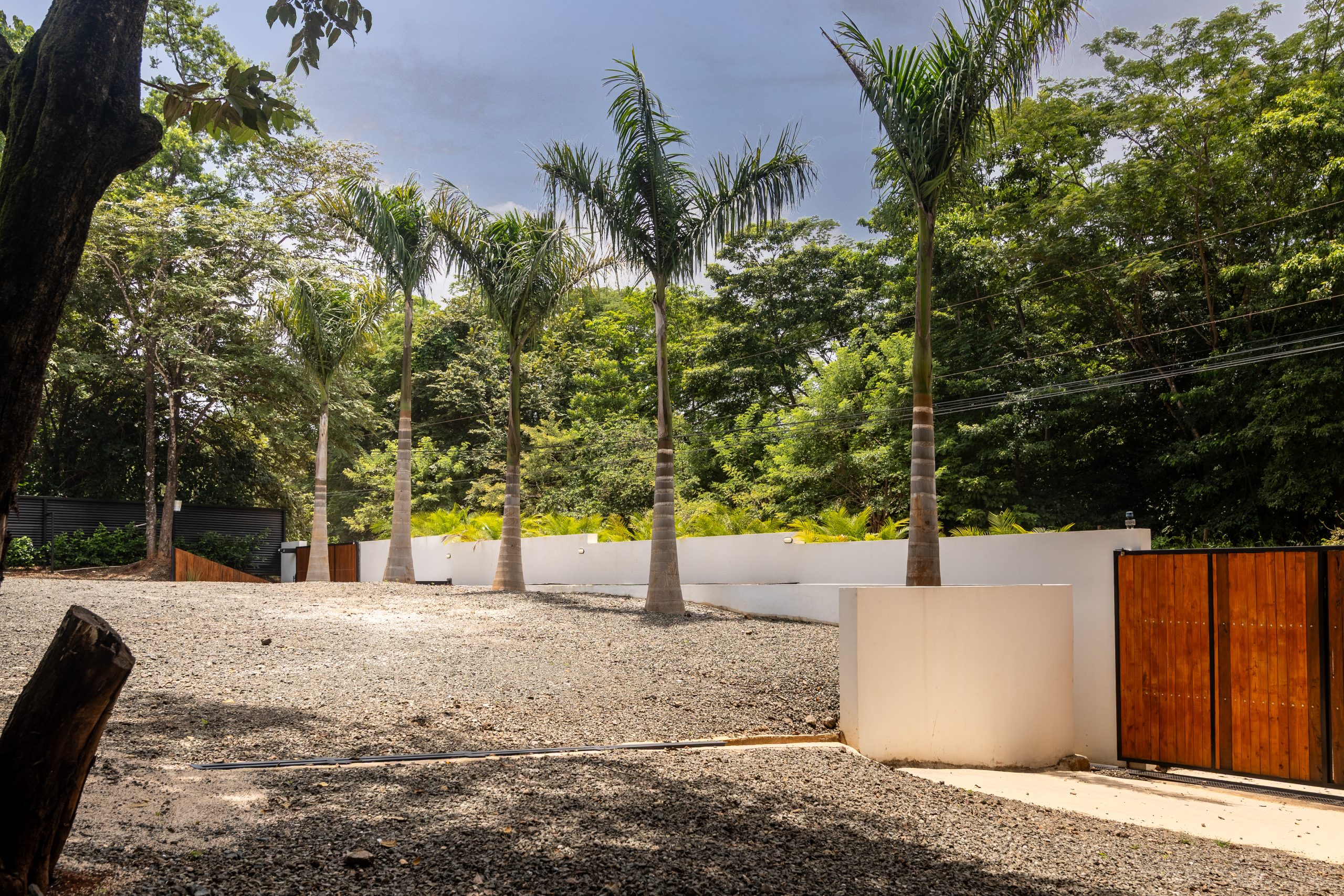 Boutique Hotel Patanemo | Prime Luxury Hospitality Investment Opportunity in Playa Avellanas