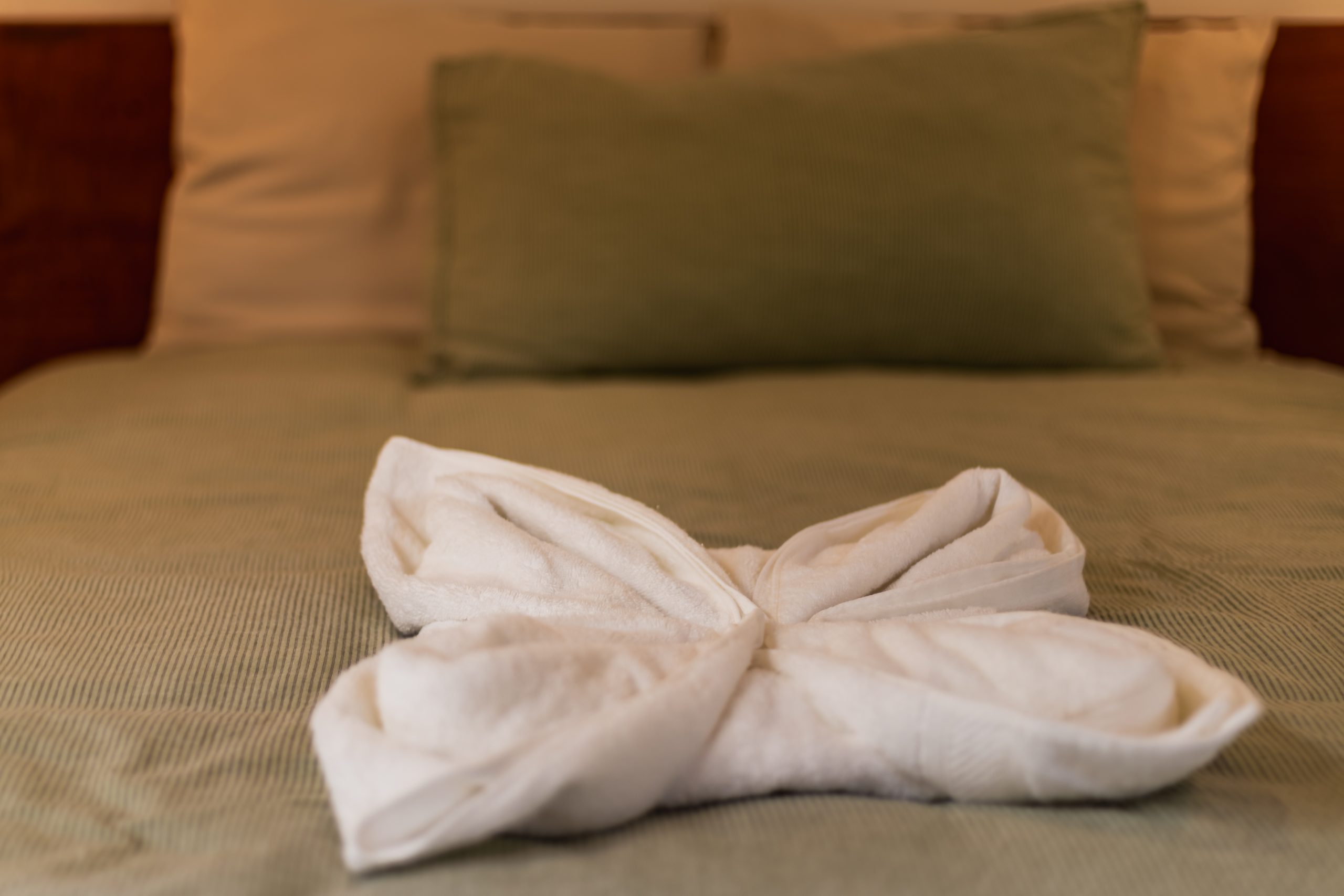 Boutique Hotel Patanemo | Prime Luxury Hospitality Investment Opportunity in Playa Avellanas