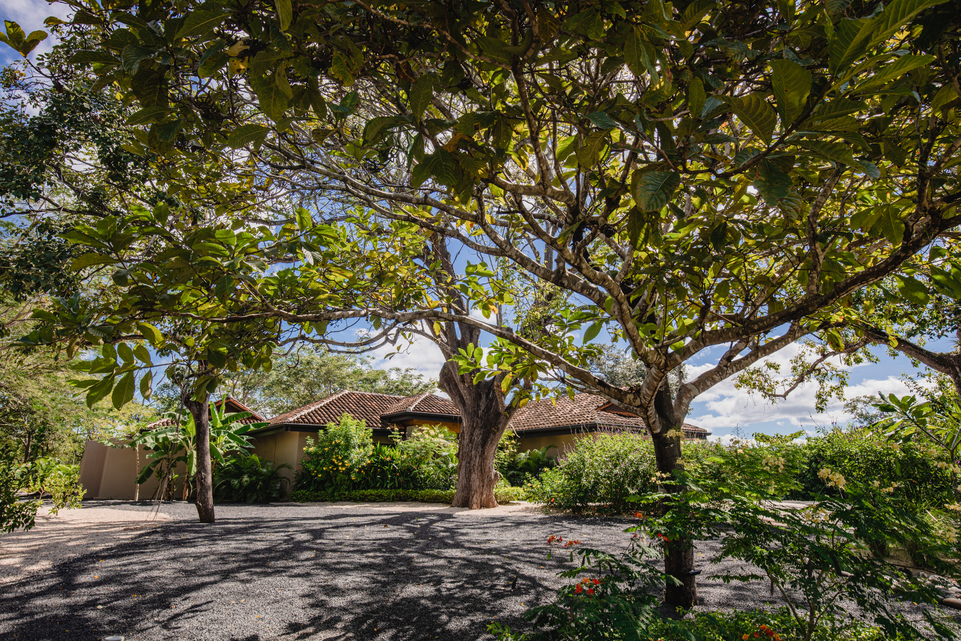 Casa Barajas | Modern Tropical Home in Hacienda Pinilla