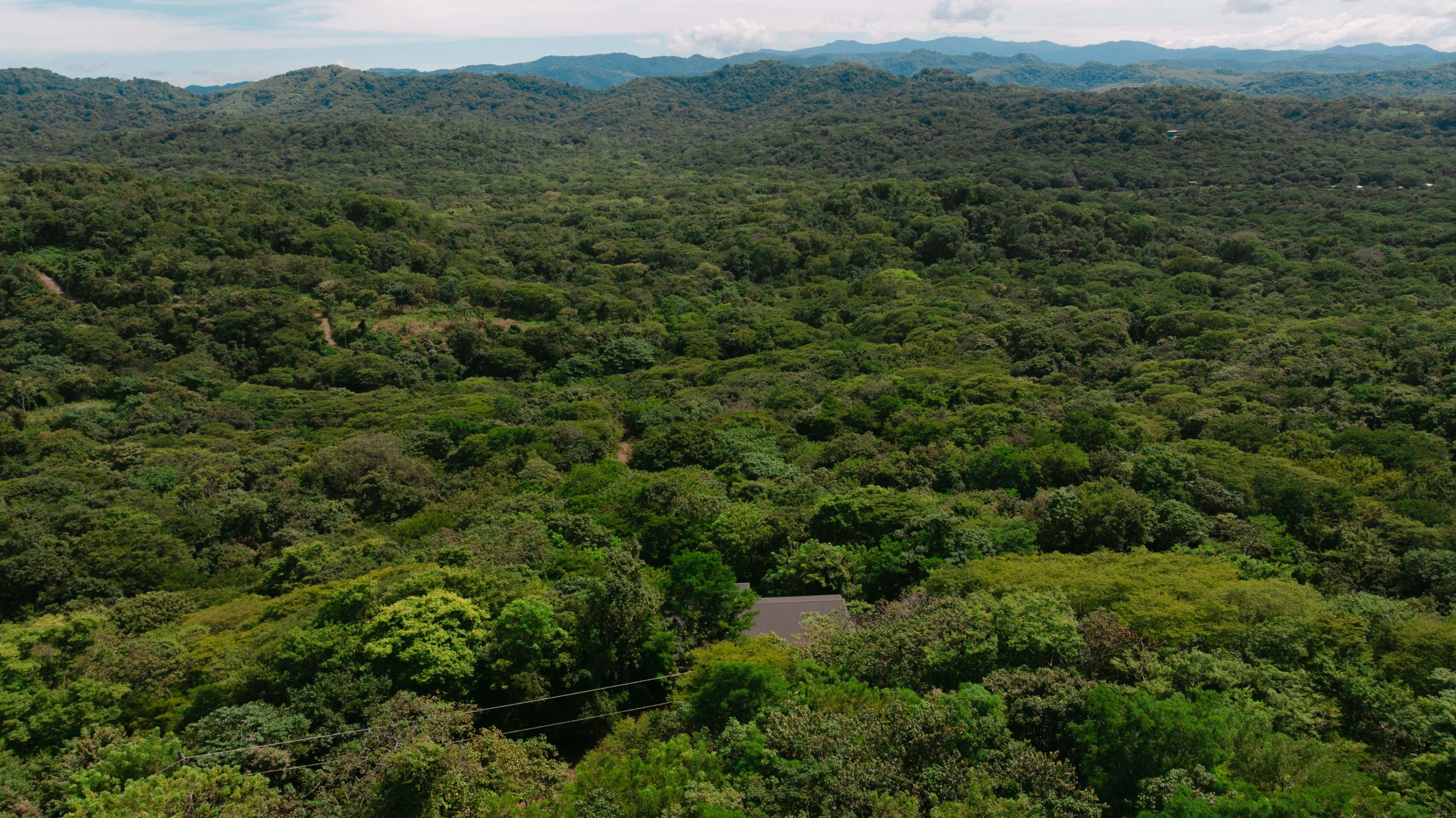 Casa Negra | Modern Organic Retreat in Playa Negra, Guanacaste