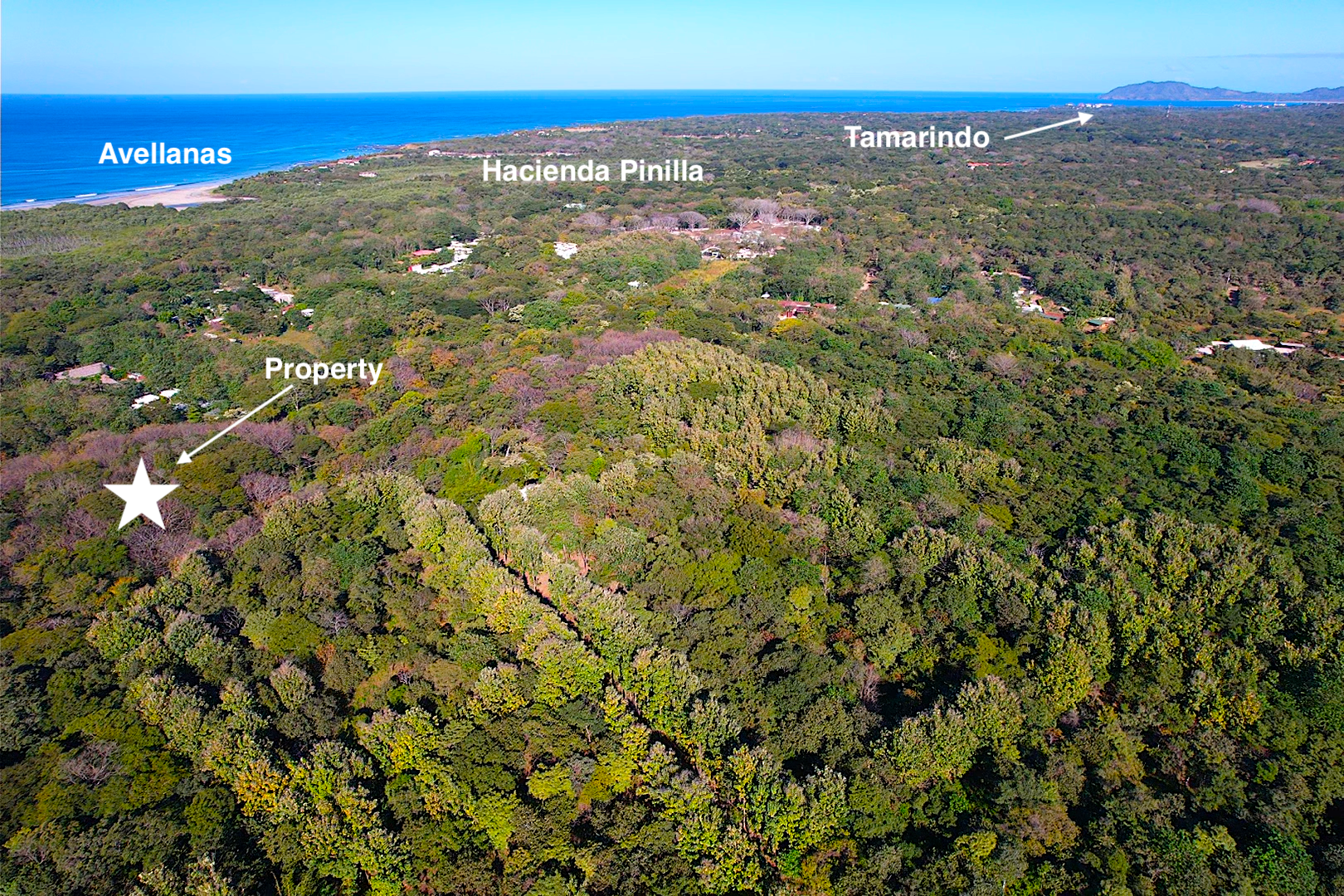 Developer’s Coastal Dream | Premier Mixed-Use Opportunity in Avellanas