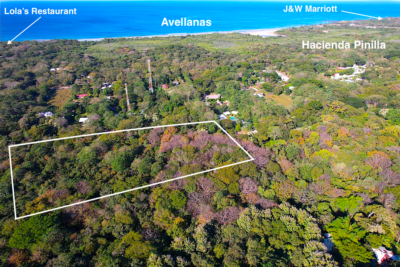 Developer’s Coastal Dream | Premier Mixed-Use Opportunity in Avellanas