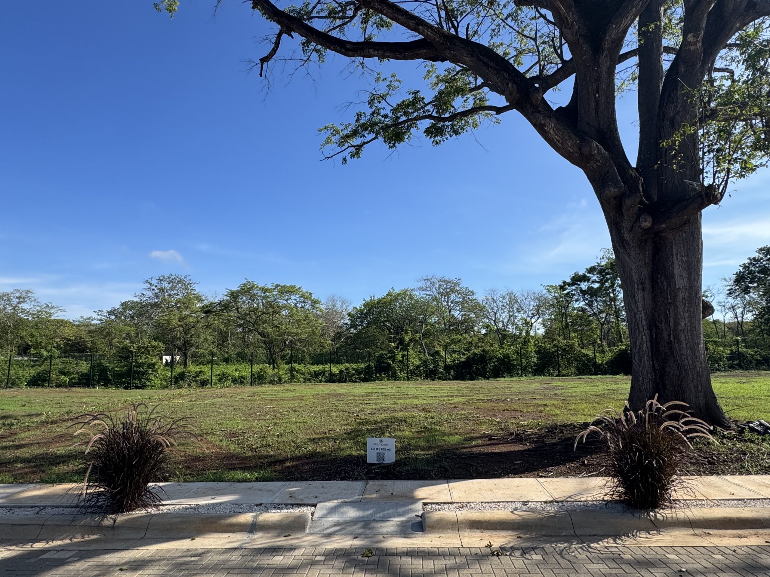 Avemoana | Exclusive Homesites Steps from Playa Avellanas