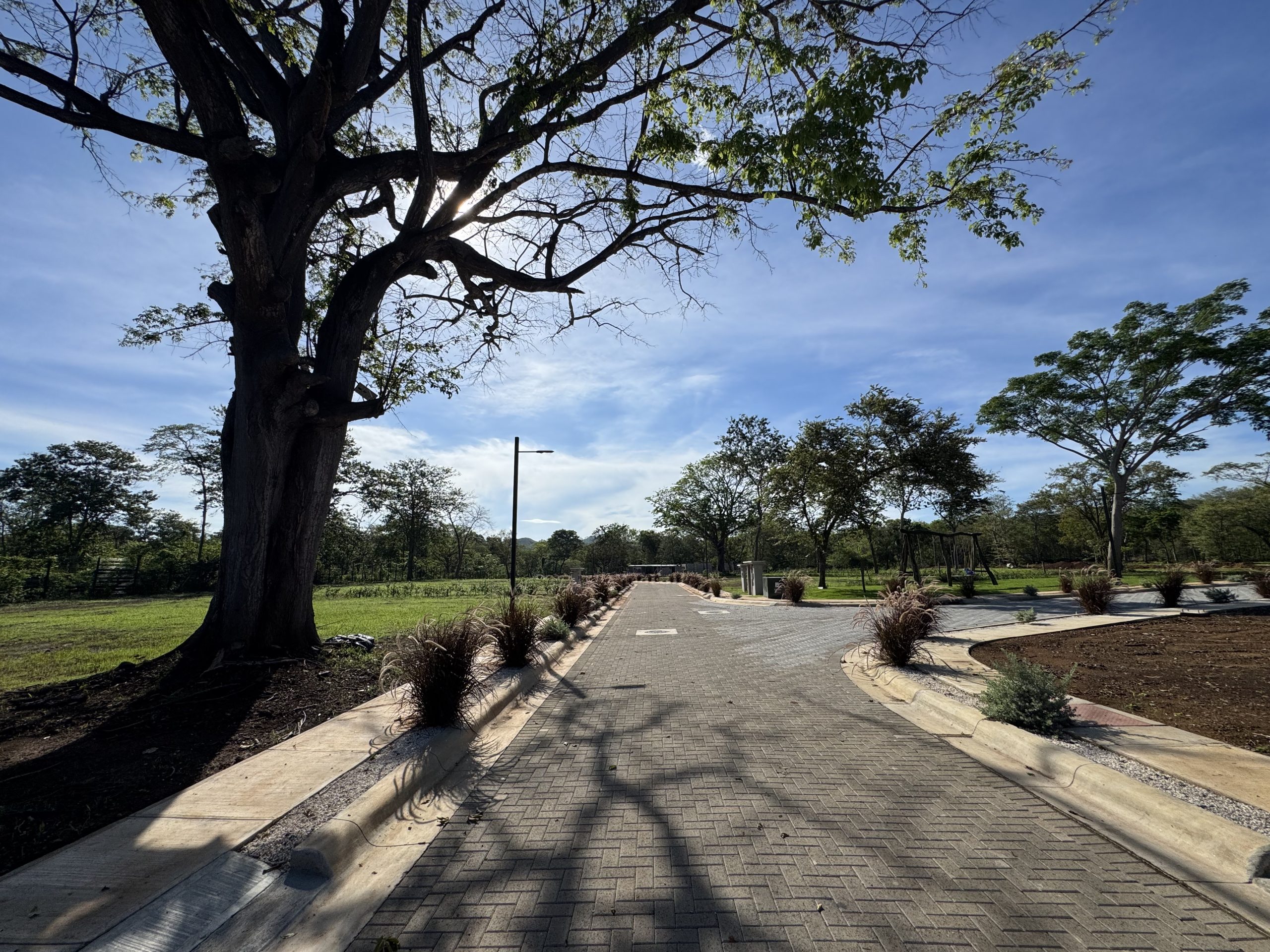 Avemoana | Exclusive Homesites Steps from Playa Avellanas