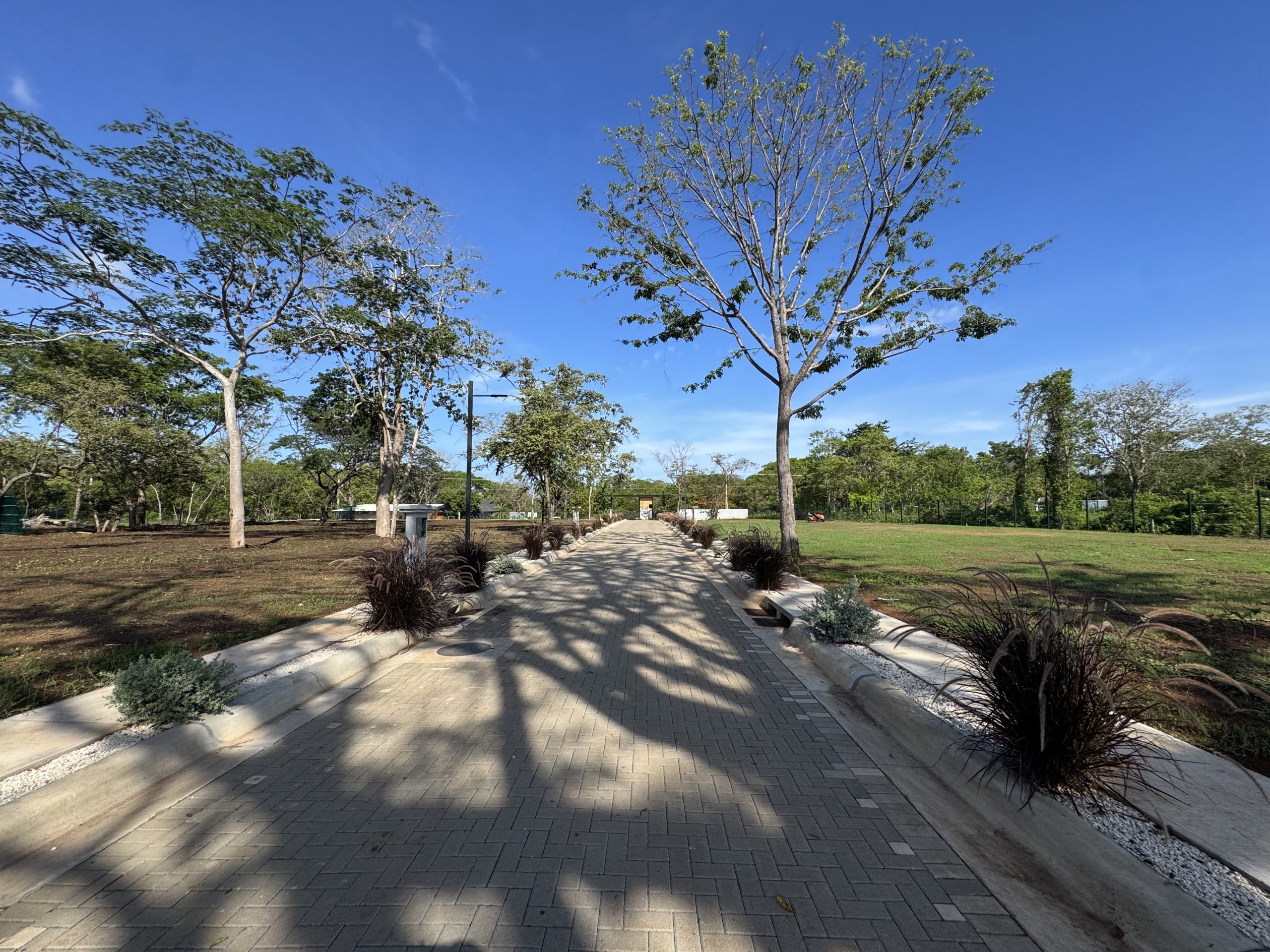 Avemoana | Exclusive Homesites Steps from Playa Avellanas