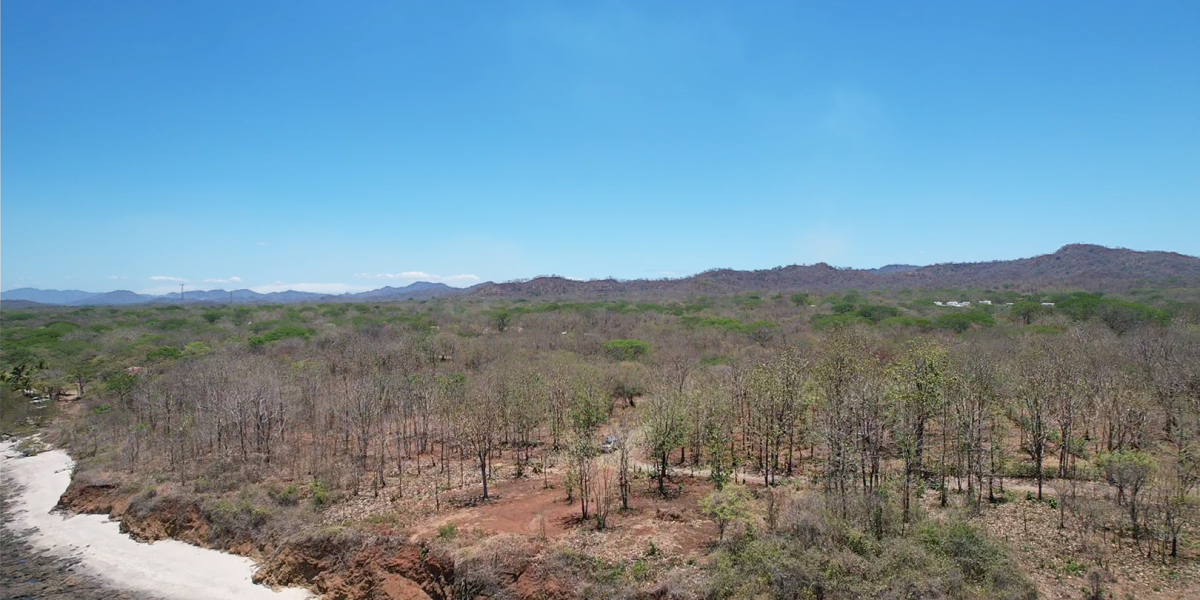 Majestic Oceanfront Lot in Avellanas – AAA Location !!!