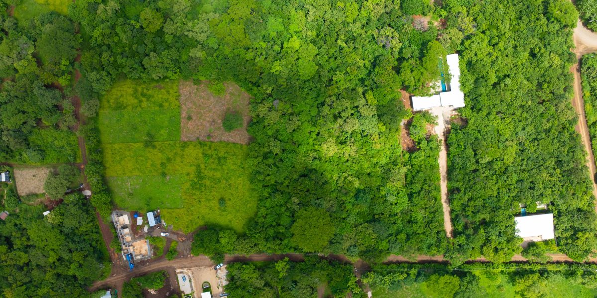 Under Contract – Sizable 5000 m2 Lot in Avellanas | Endless Potential