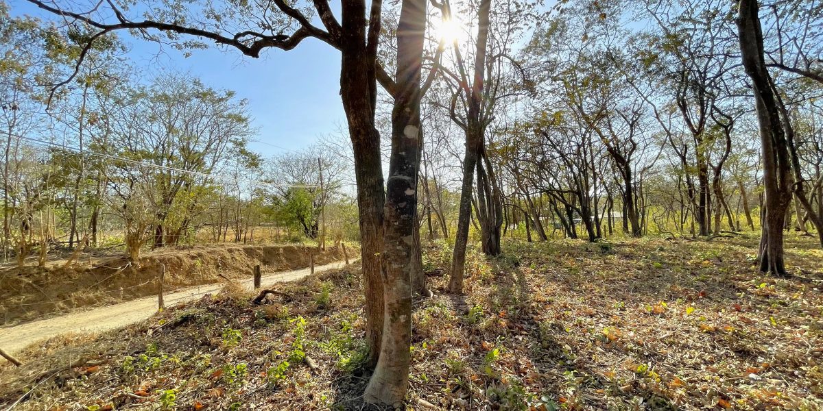 SOLD – Spectacular Development Parcel Steps from the Ocean! -Avellanas