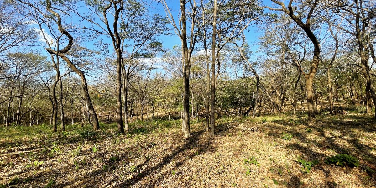 SOLD – Spectacular Development Parcel Steps from the Ocean! -Avellanas