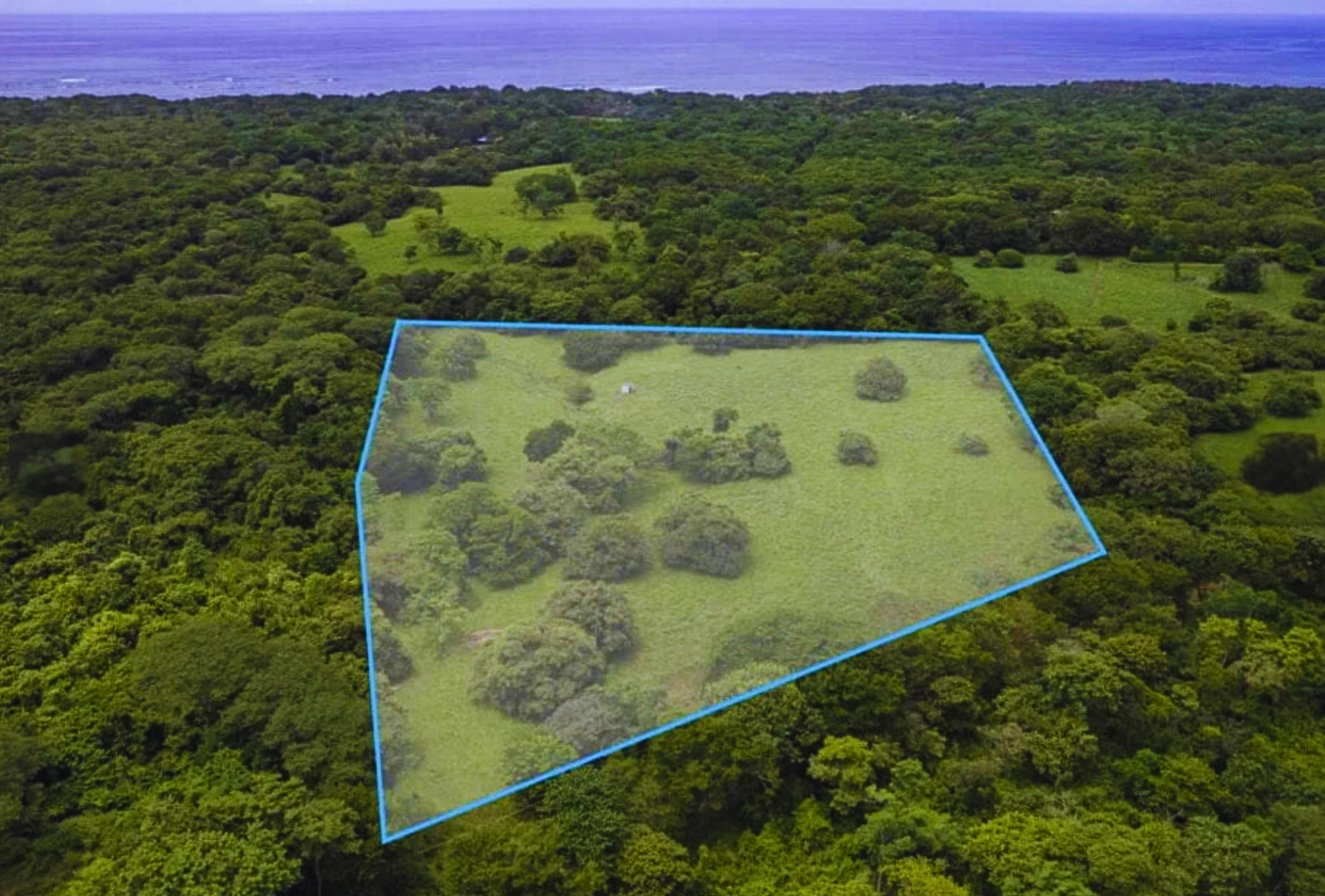 The Golden Farm | 5 Hectares of Possibility in Guanacaste