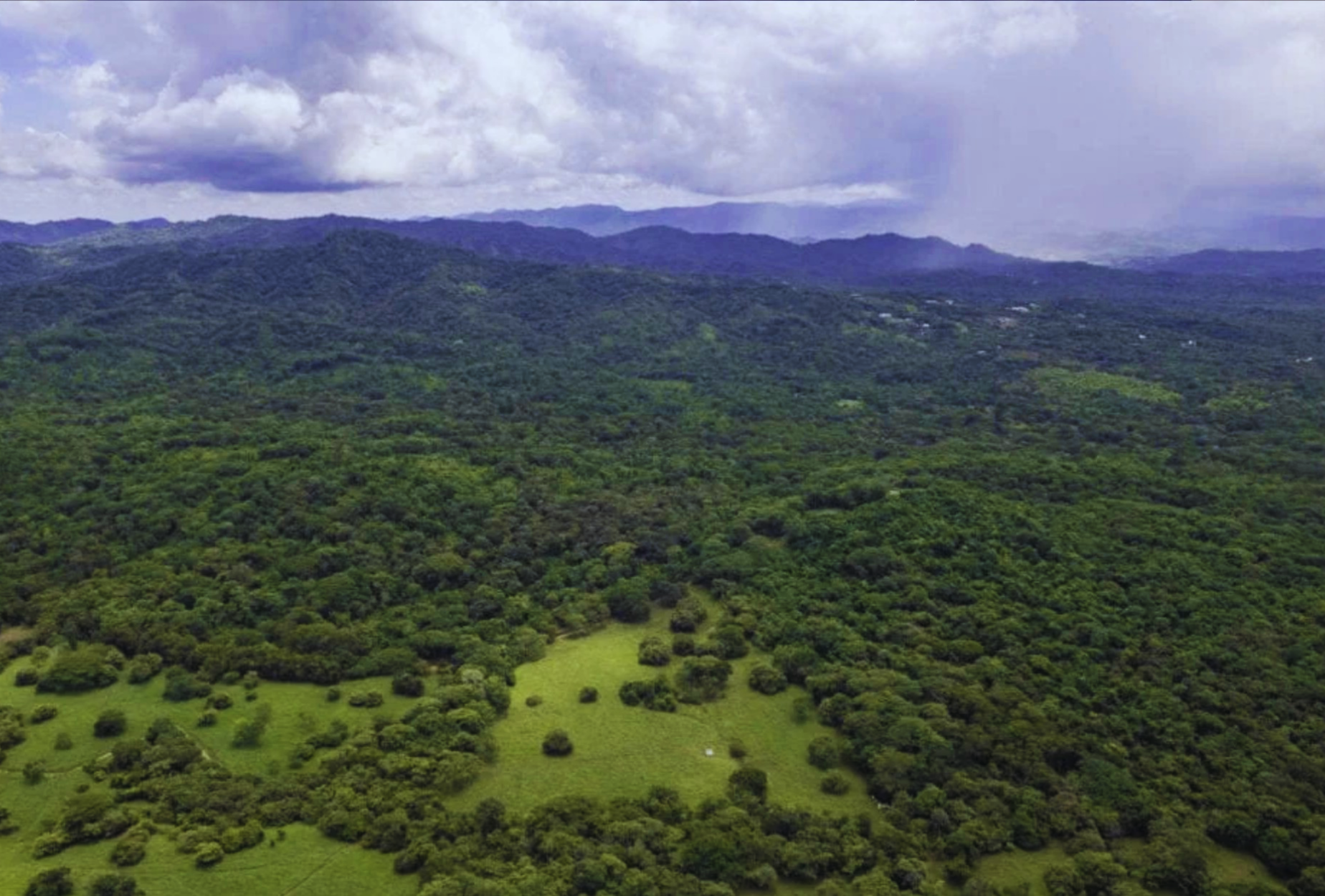 The Golden Farm | 5 Hectares of Possibility in Guanacaste