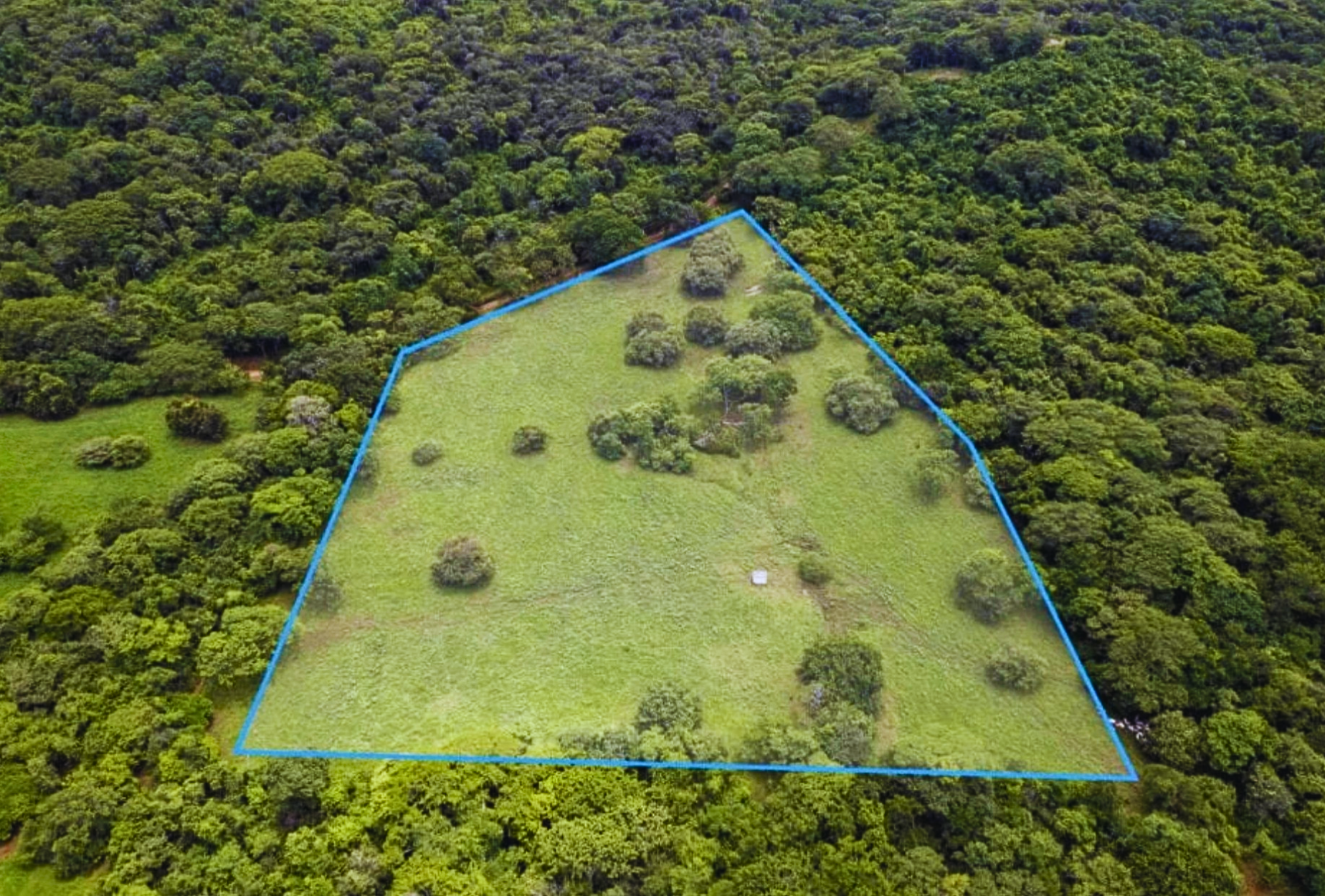 The Golden Farm | 5 Hectares of Possibility in Guanacaste