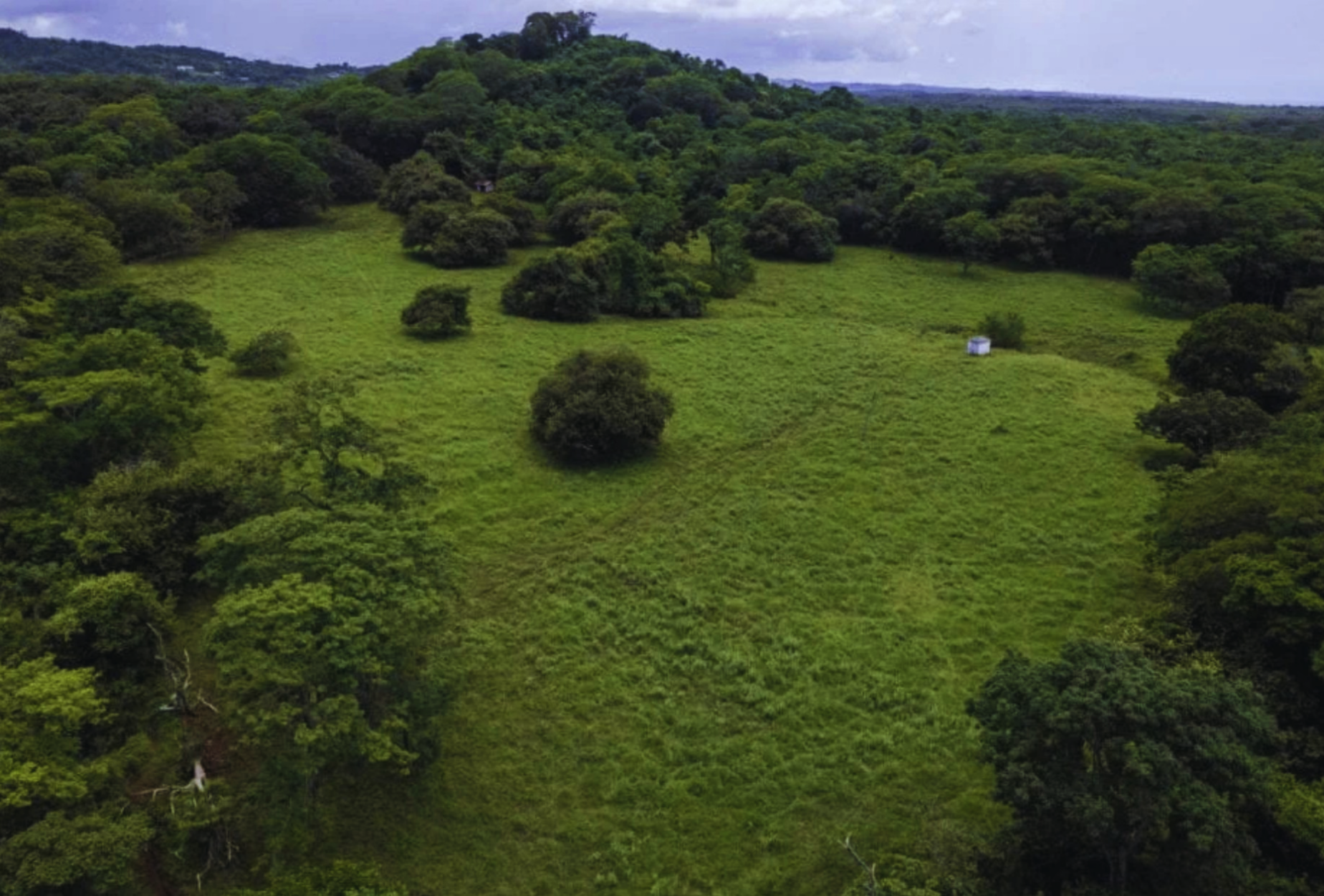 The Golden Farm | 5 Hectares of Possibility in Guanacaste