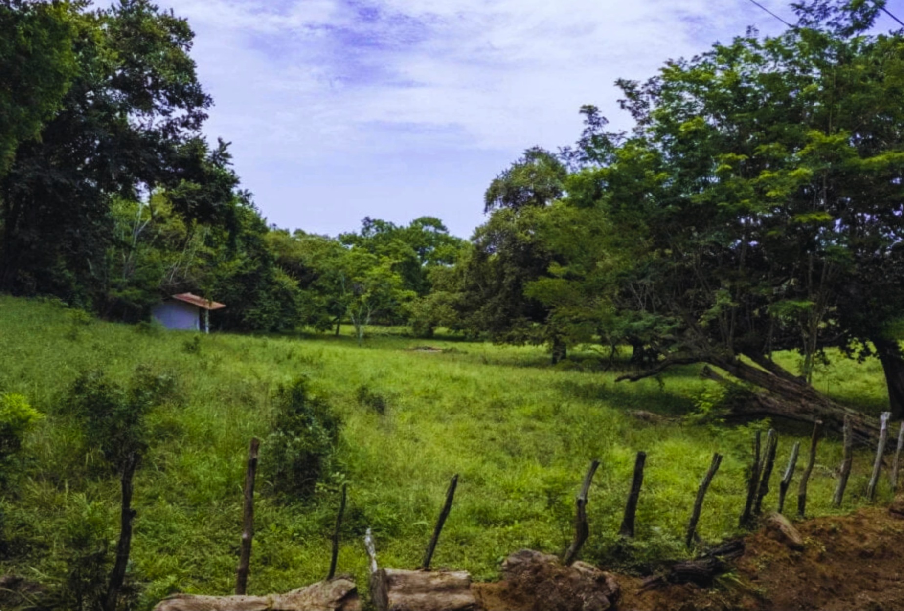 The Golden Farm | 5 Hectares of Possibility in Guanacaste