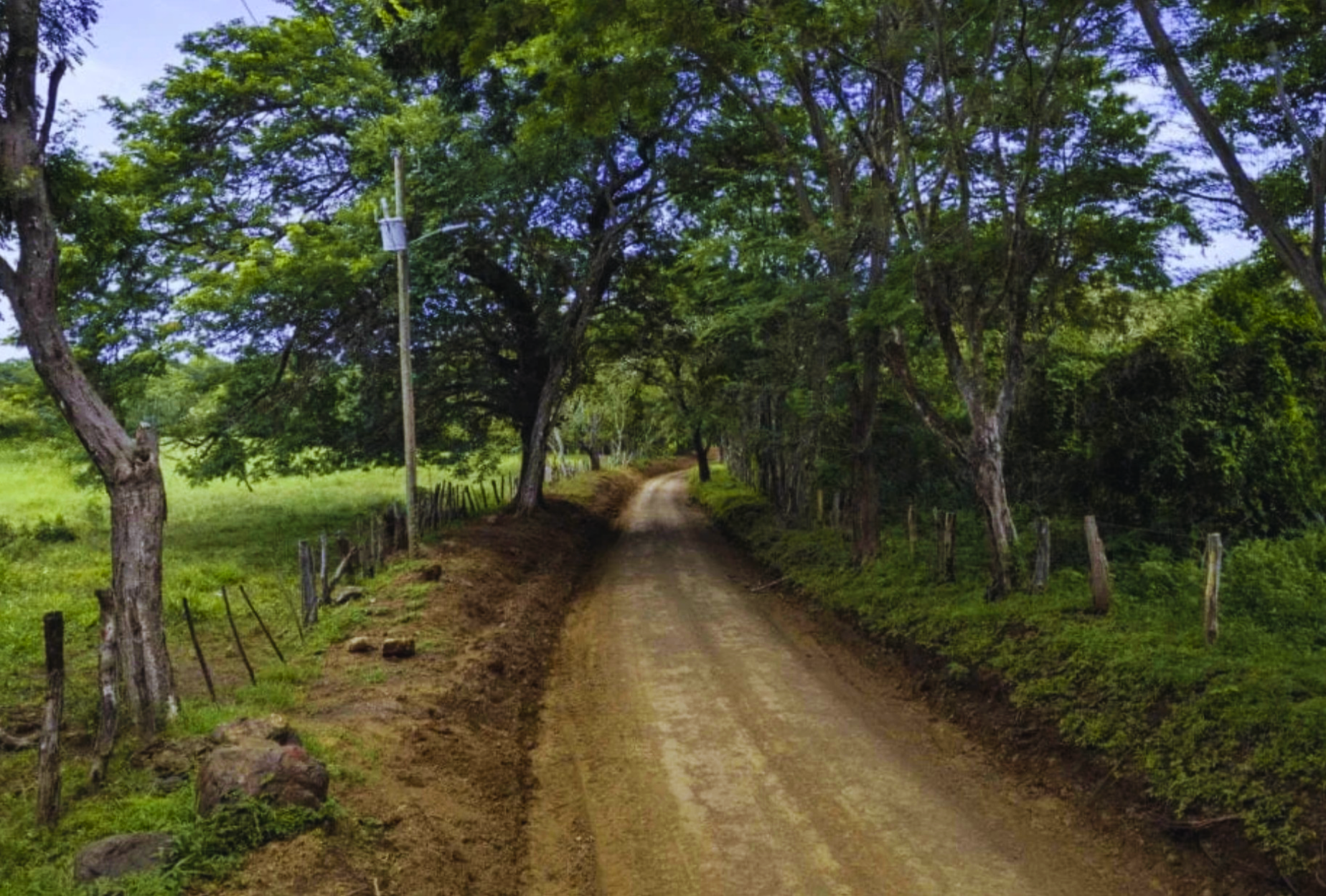 The Golden Farm | 5 Hectares of Possibility in Guanacaste