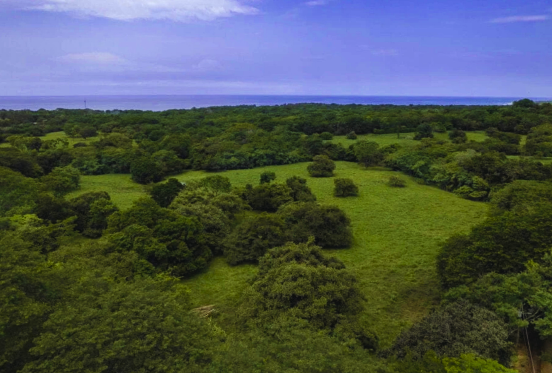 The Golden Farm | 5 Hectares of Possibility in Guanacaste