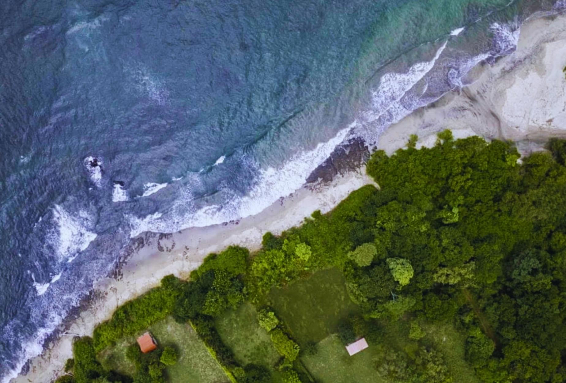 The Golden Farm | 5 Hectares of Possibility in Guanacaste