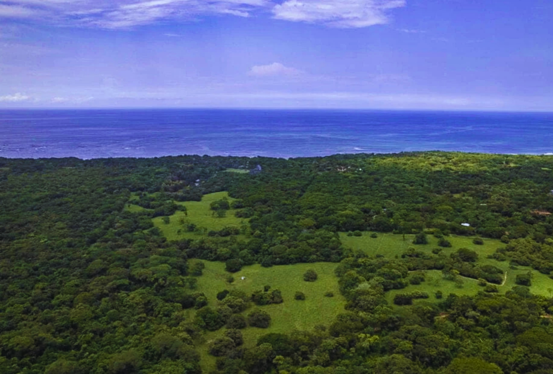 The Golden Farm | 5 Hectares of Possibility in Guanacaste