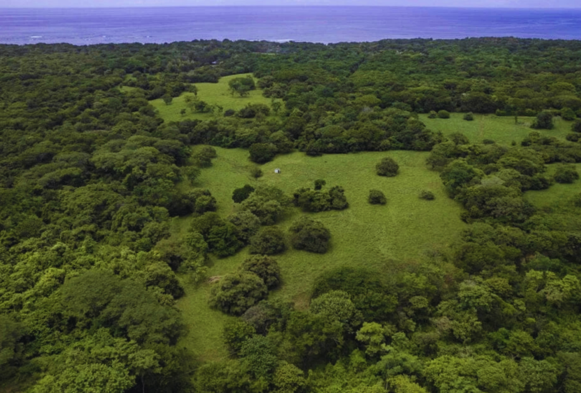 The Golden Farm | 5 Hectares of Possibility in Guanacaste
