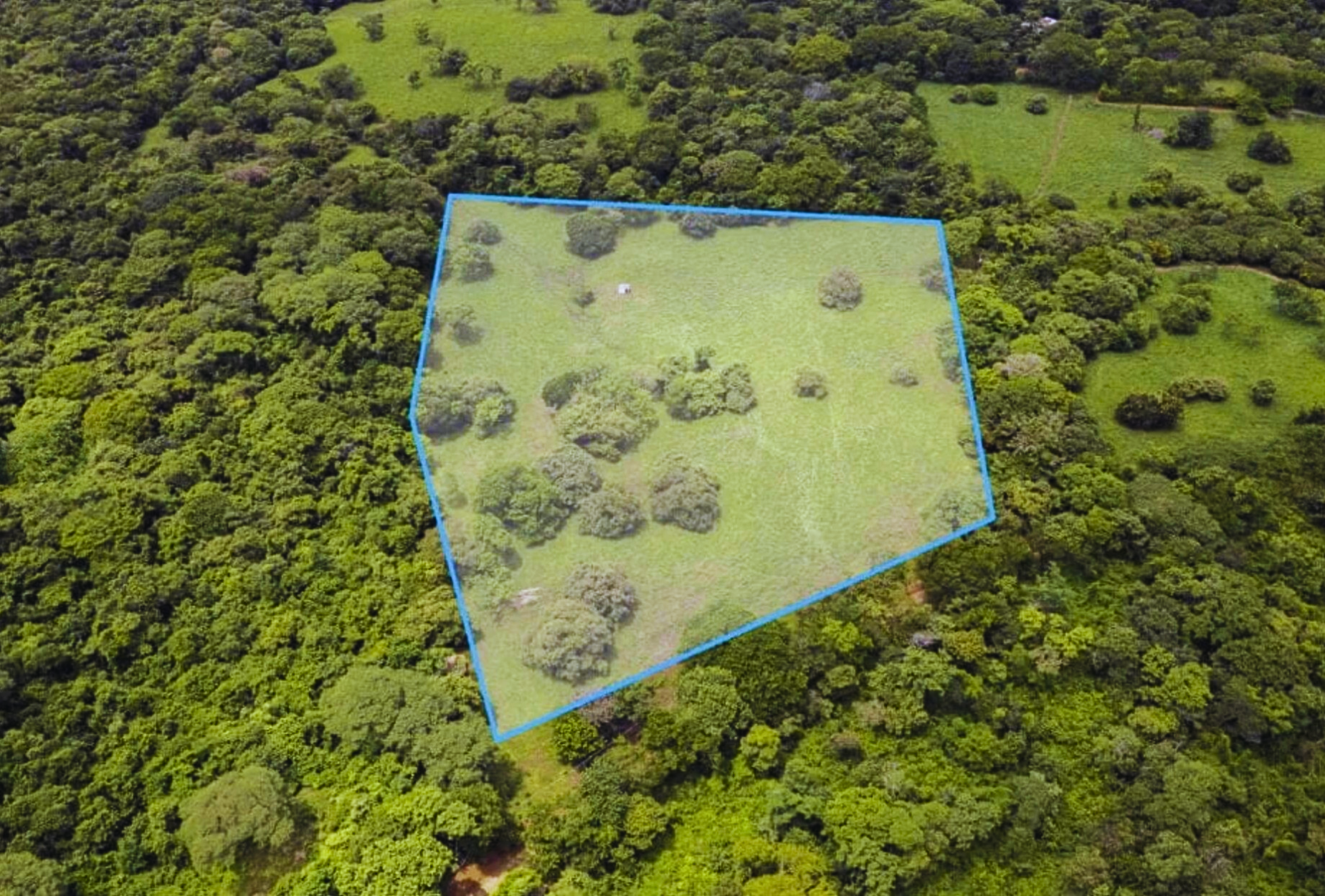 The Golden Farm | 5 Hectares of Possibility in Guanacaste