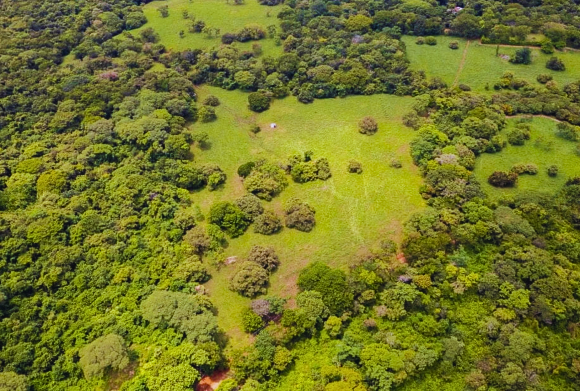 The Golden Farm | 5 Hectares of Possibility in Guanacaste