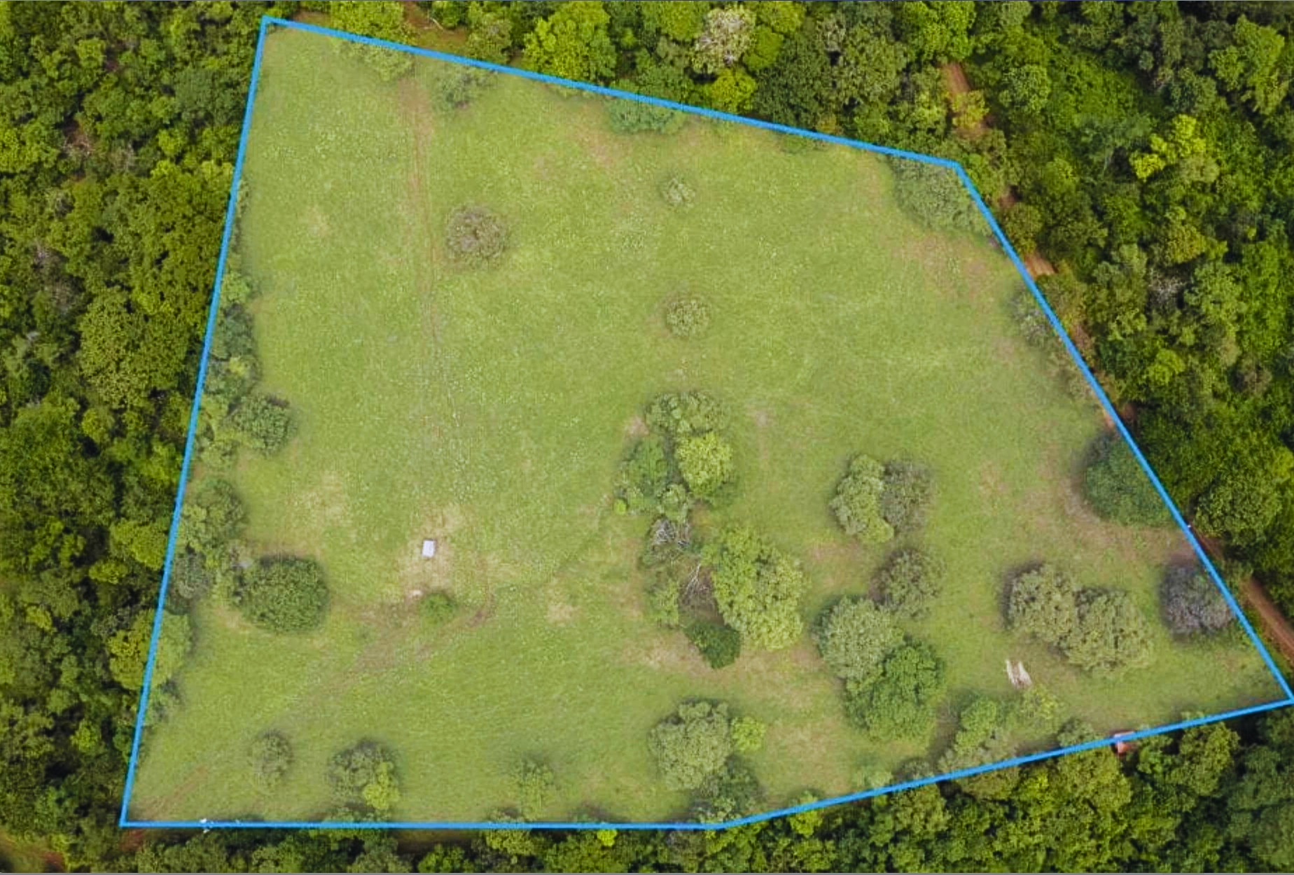 The Golden Farm | 5 Hectares of Possibility in Guanacaste