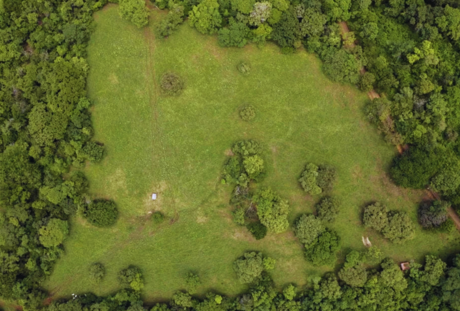 The Golden Farm | 5 Hectares of Possibility in Guanacaste