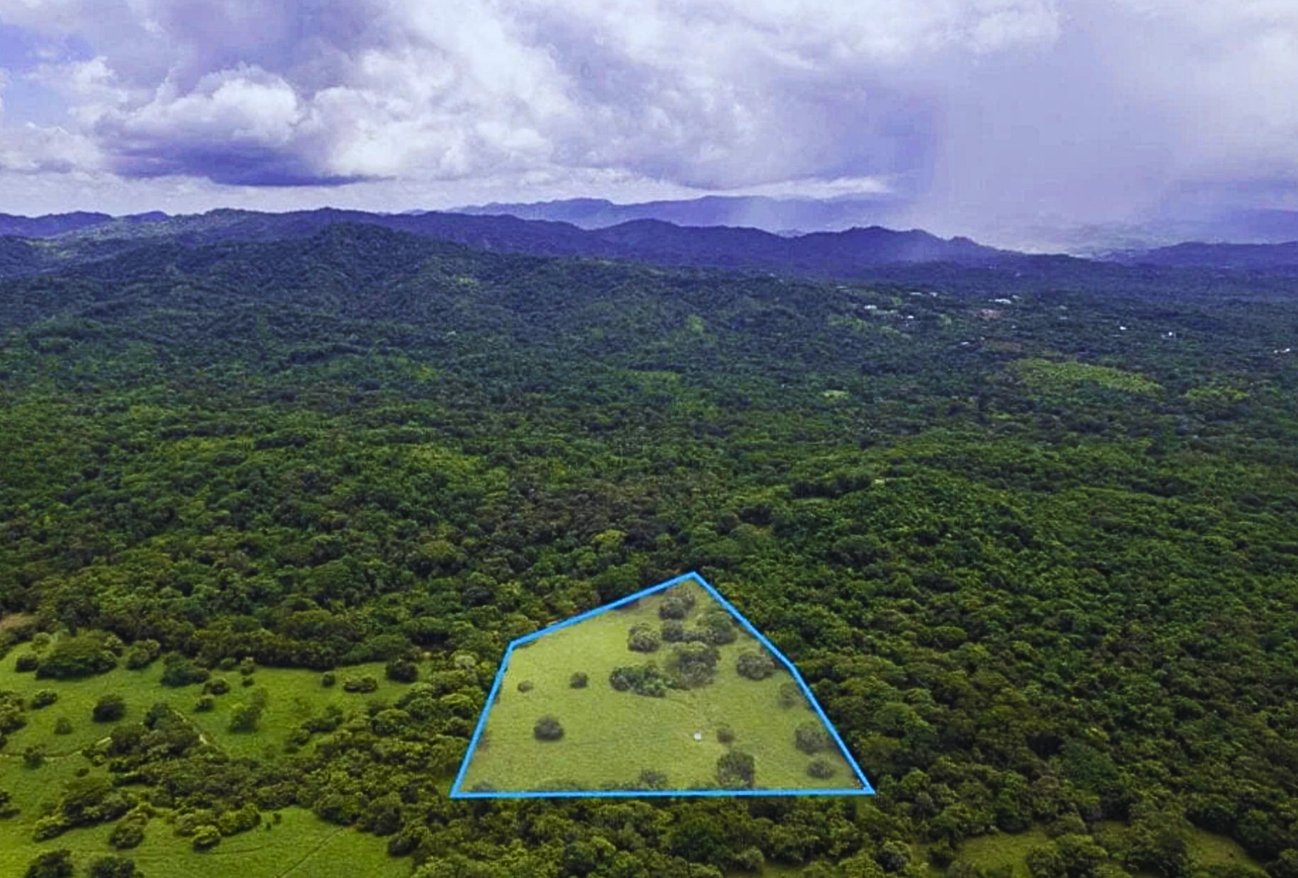 The Golden Farm | 5 Hectares of Possibility in Guanacaste